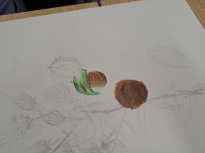 Zajęcia plastyczne 30.09.23